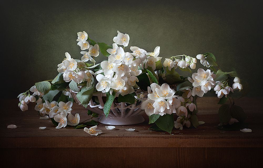 Jasmine art print by Alina Lankina for $57.95 CAD