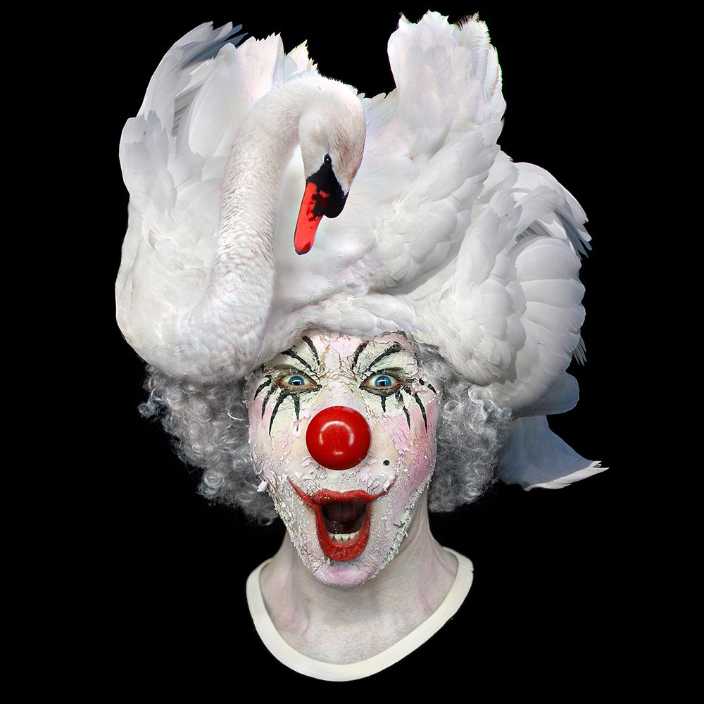 Swan Clwon art print by DDiArte for $57.95 CAD