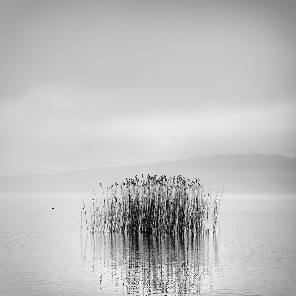 Morning Silence art print by George Digalakis for $57.95 CAD