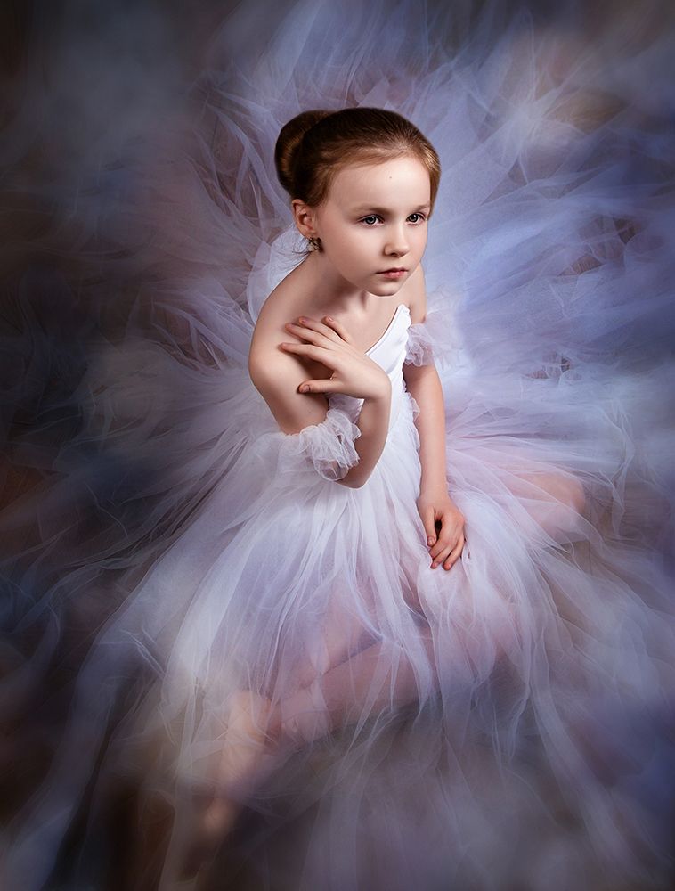 The dream of a great and a little bit about ballet art print by Alina Lankina for $57.95 CAD
