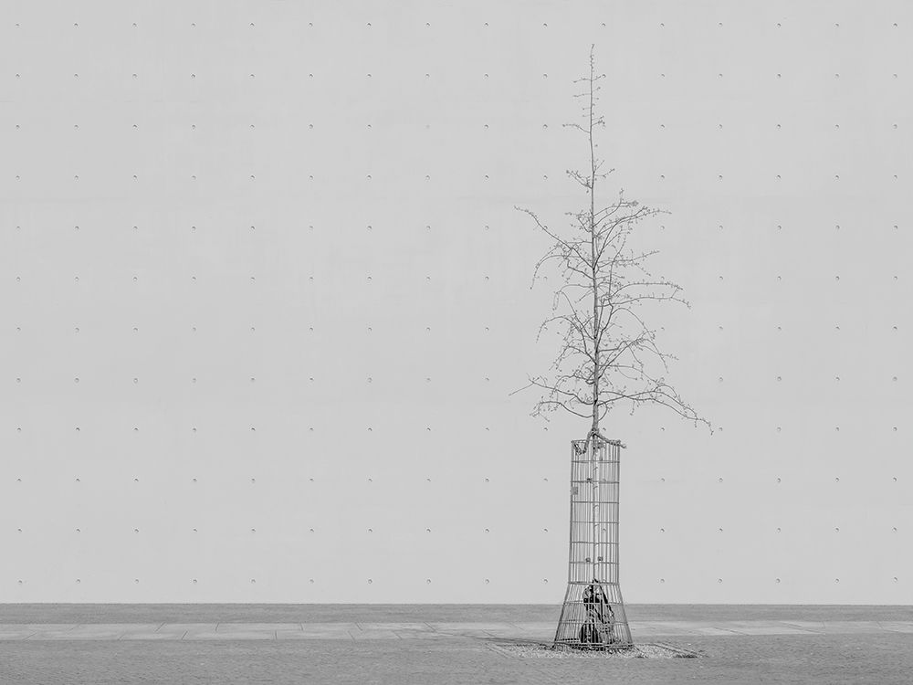 the tree art print by Klaus Lenzen for $57.95 CAD
