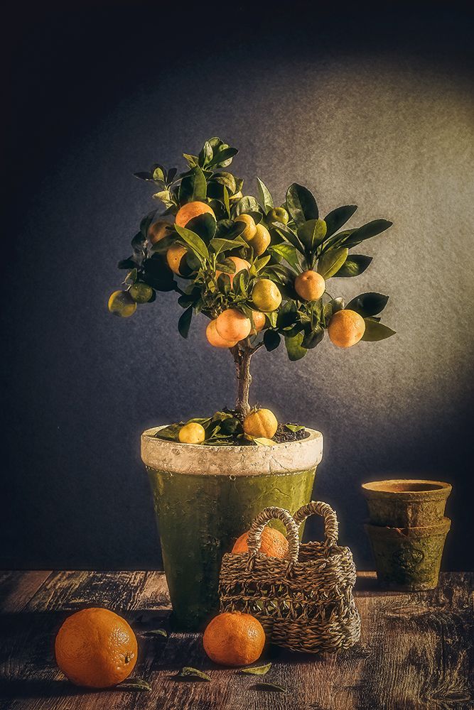 Winter art print by Nour Al-Dien Mahmoud for $57.95 CAD