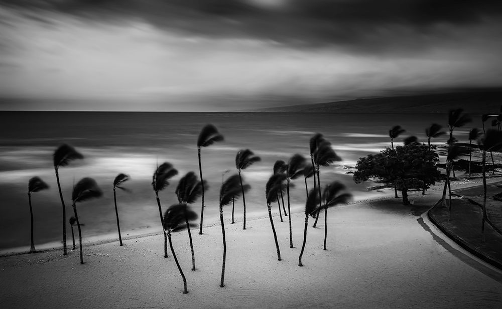 Tropical Storm art print by Rob Darby for $57.95 CAD