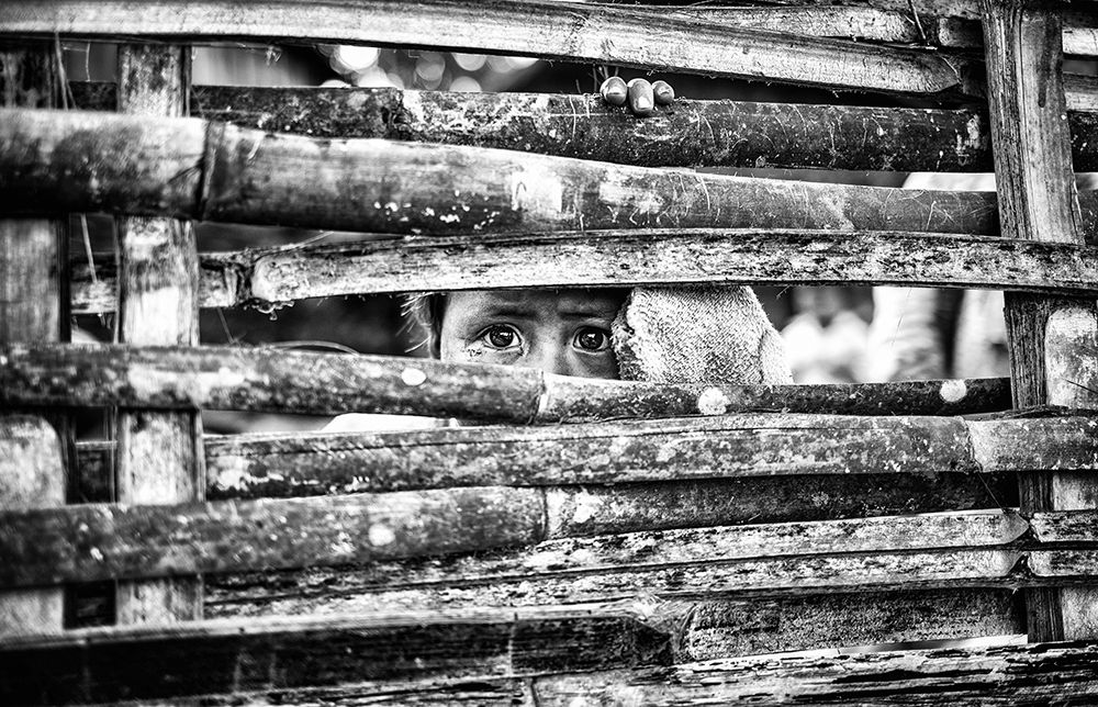 the eyes behind the fence art print by Marco Tagliarino for $57.95 CAD