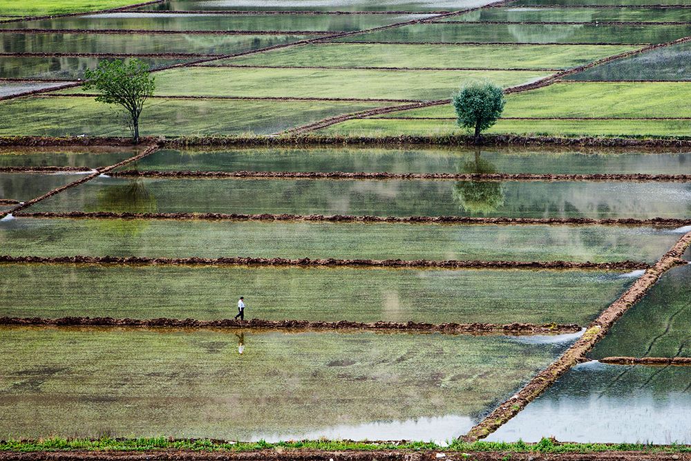rice field on man art print by S. Aktrk for $57.95 CAD