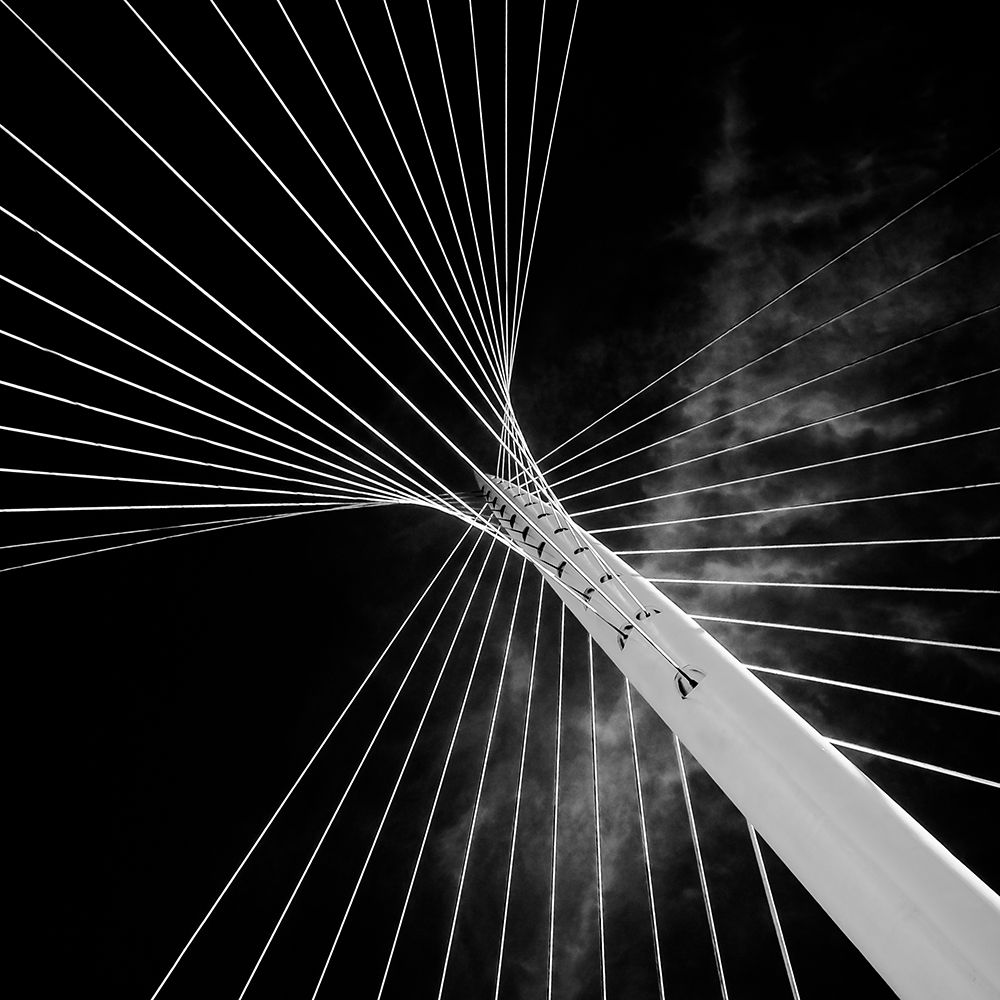 calatrava butterfly art print by Theo Huybrechts for $57.95 CAD