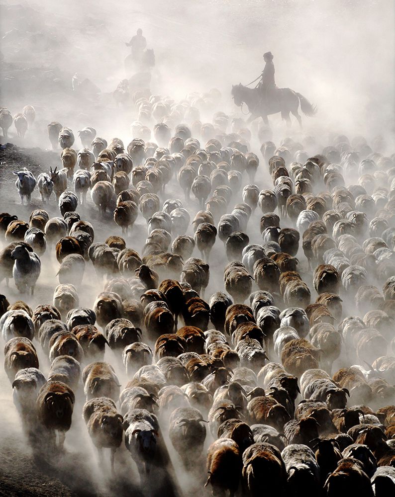 The Great Migration Of China art print by Adam Wong for $57.95 CAD