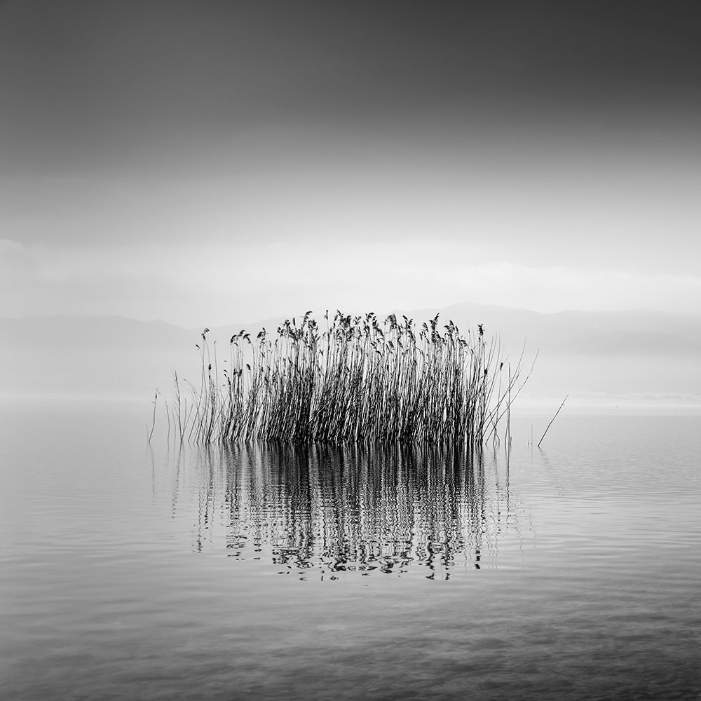 Black And White Silence art print by George Digalakis for $57.95 CAD