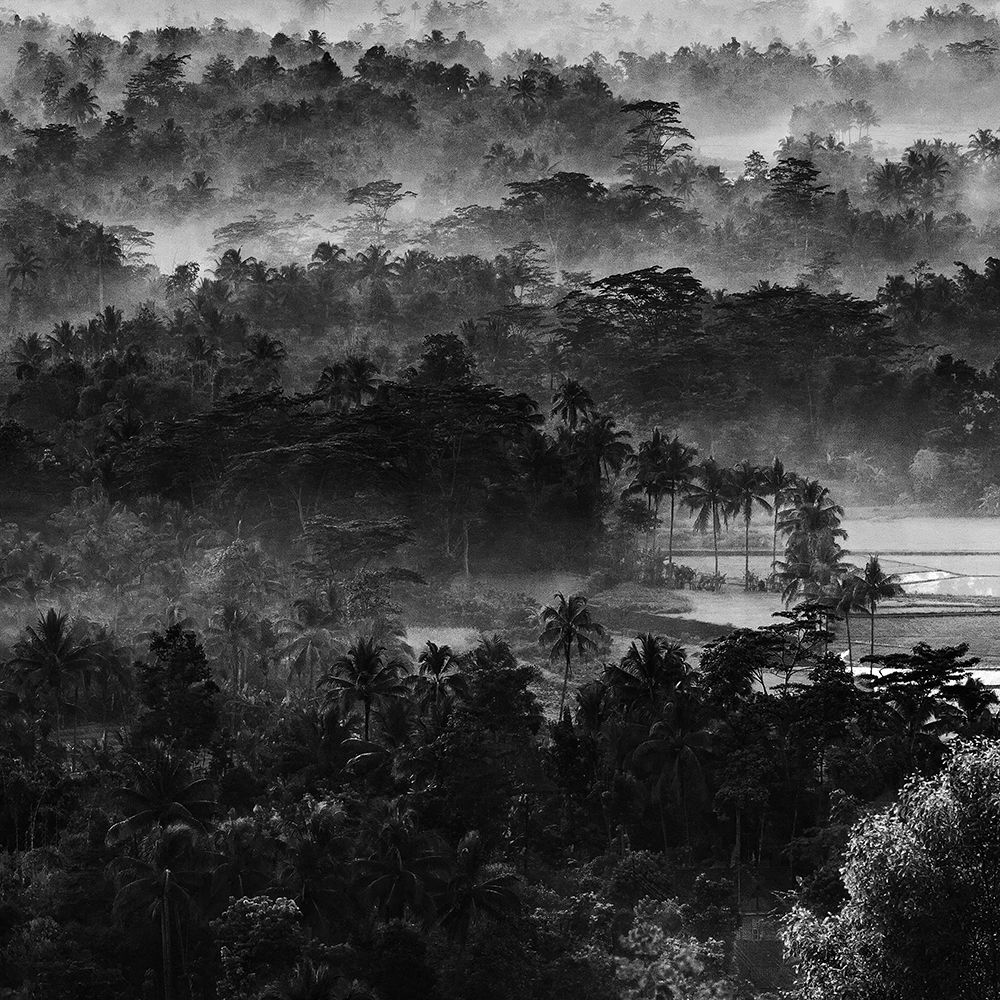 .....mist in the morning..... art print by Johanes Januar for $57.95 CAD