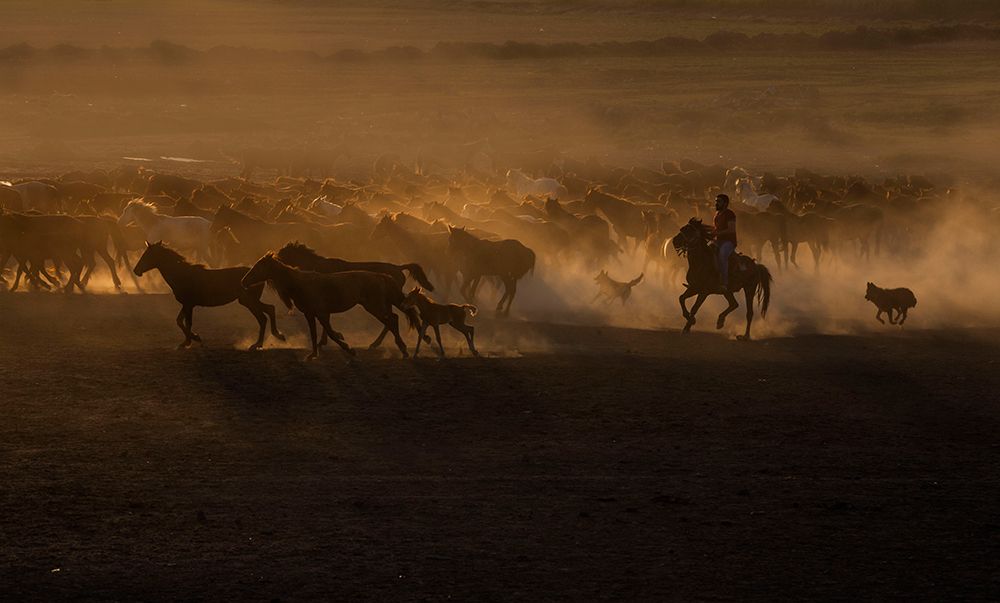 Beautiful The Country of Horses art print by Ramiz Sahin for $57.95 CAD