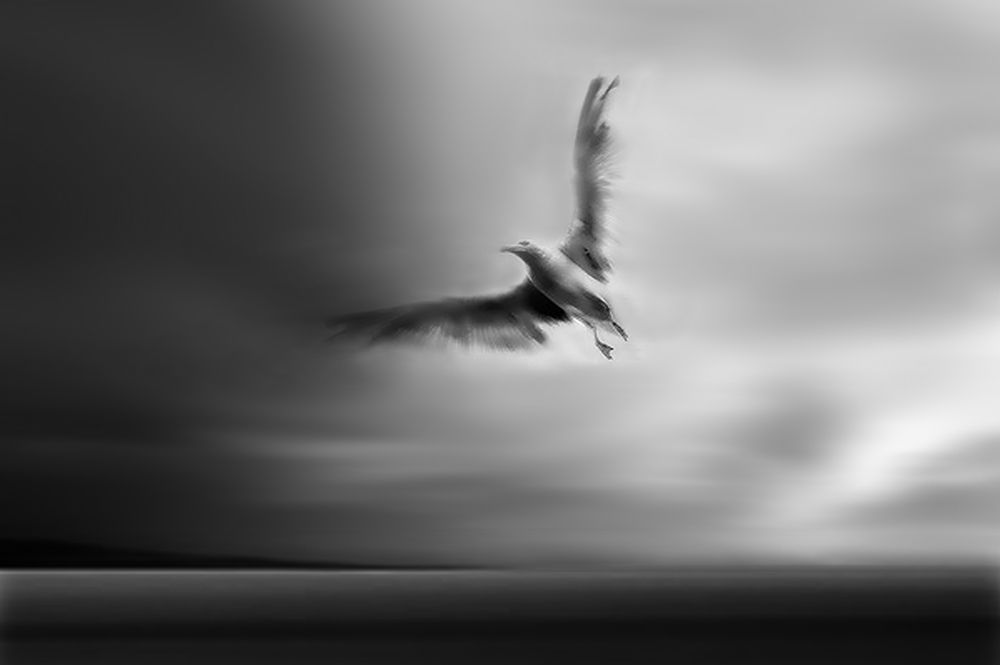 Fly away with me art print by Yvette Depaepe for $57.95 CAD