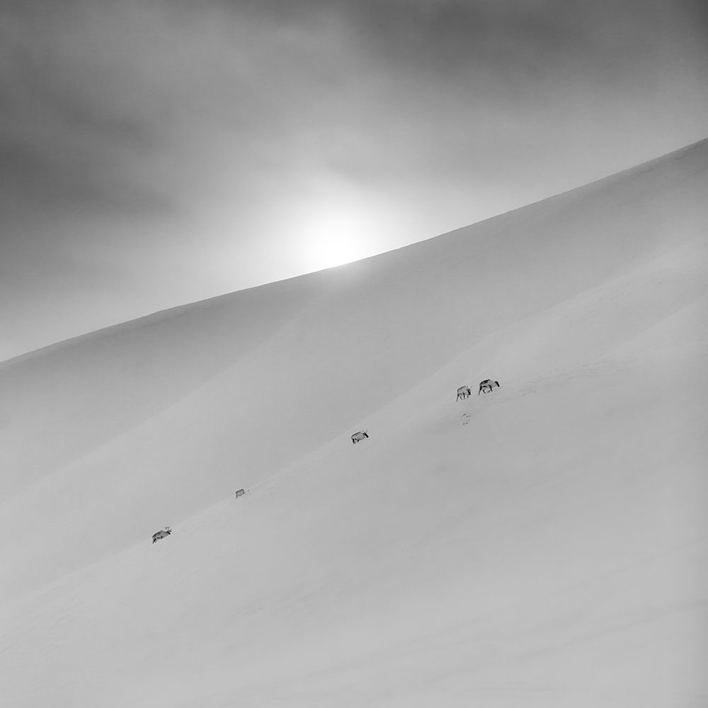 Shady side art print by Asmund Kvarnstrom for $57.95 CAD