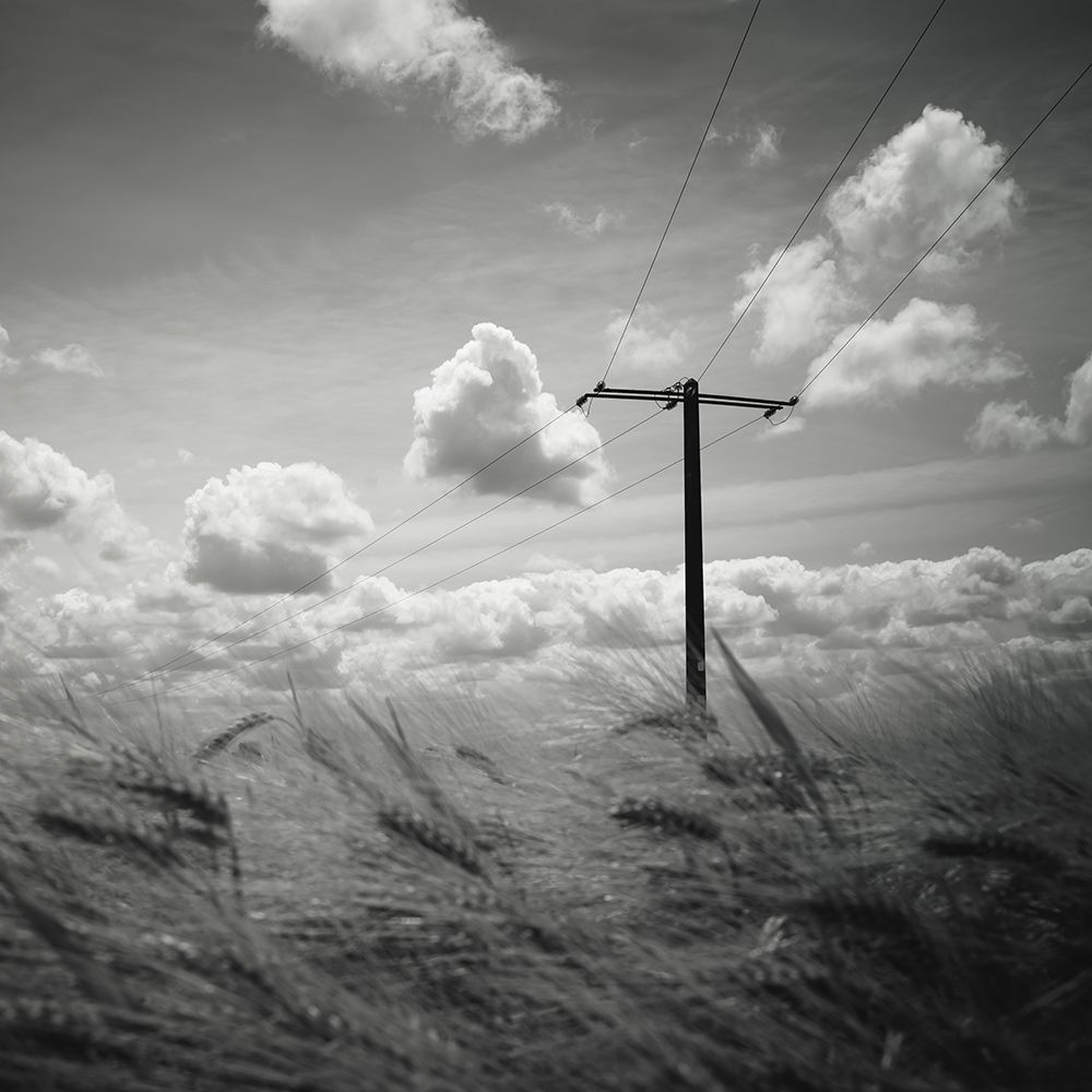 T art print by Christophe Staelens for $57.95 CAD