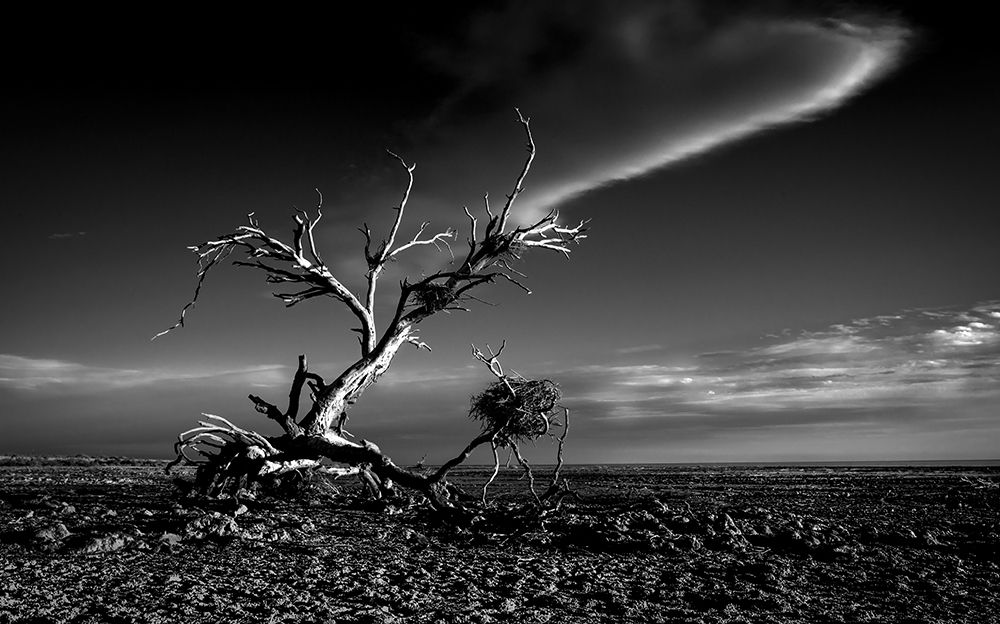 Salton Sea Sculpture art print by Rob Darby for $57.95 CAD