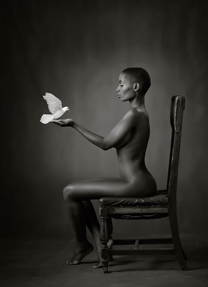 Ebony Dove art print by Catchlight Studio for $57.95 CAD