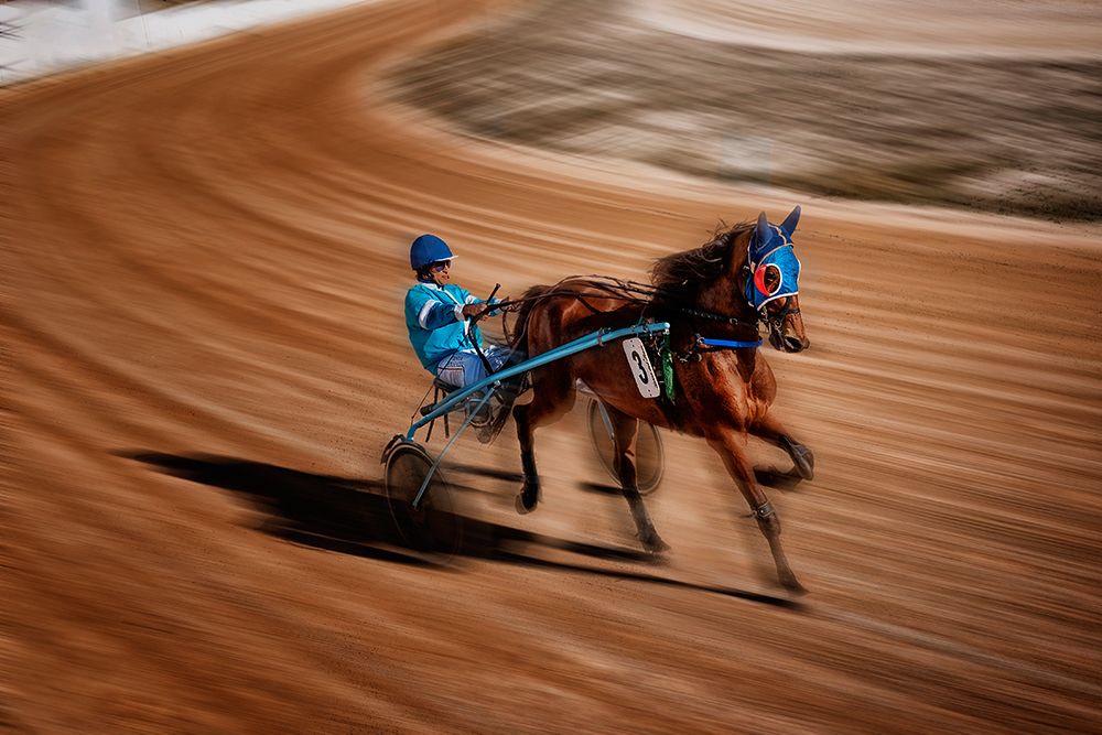 Horse Races in Menorca art print by Xavier Garci for $57.95 CAD