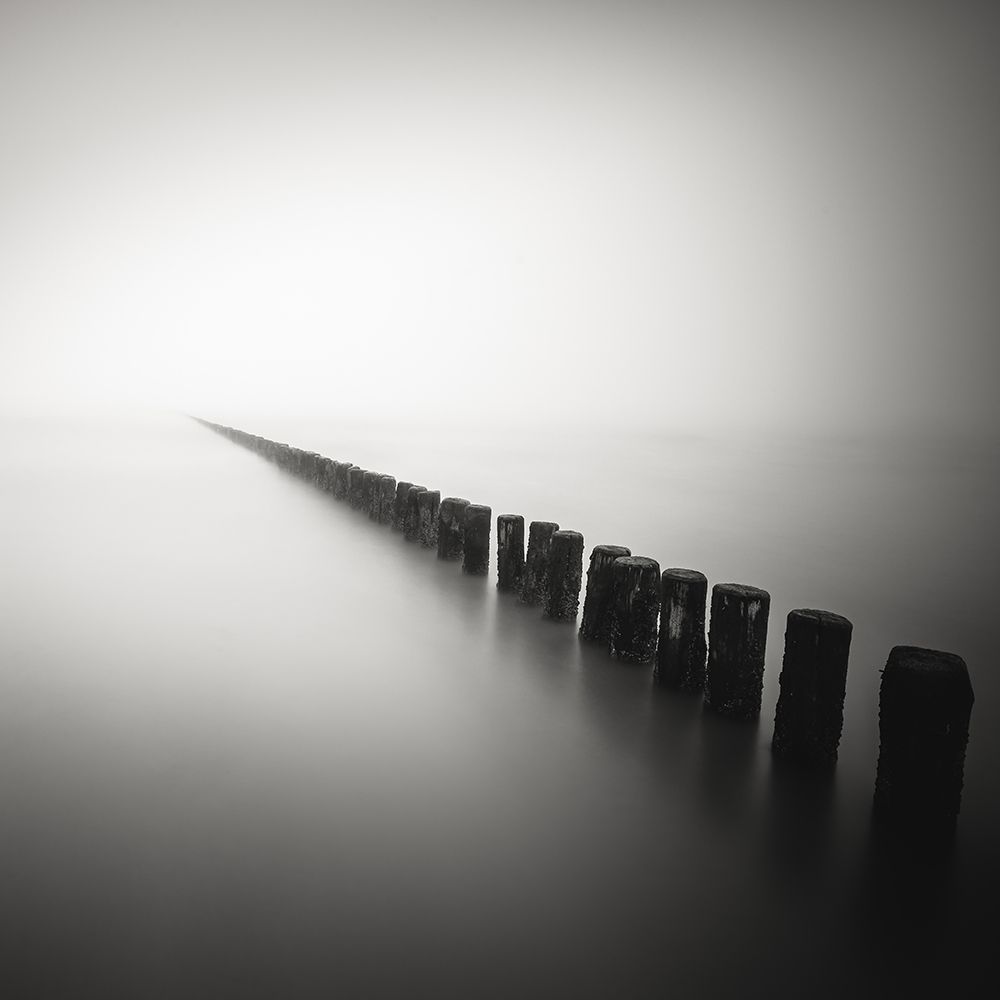 Together Alone art print by Christophe Staelens for $57.95 CAD