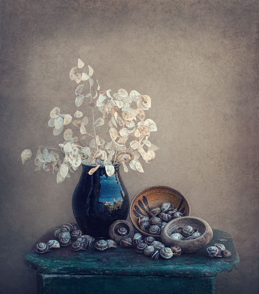 Still life with a lunaria and snails art print by Dimitar Lazarov for $57.95 CAD