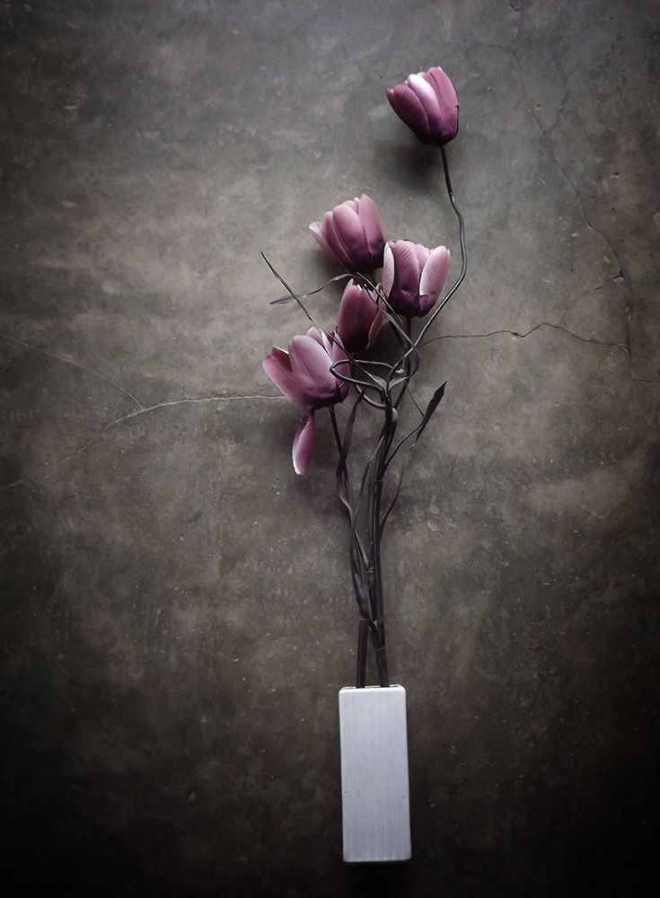 The Purple Tulip art print by Kahar Lagaa for $57.95 CAD