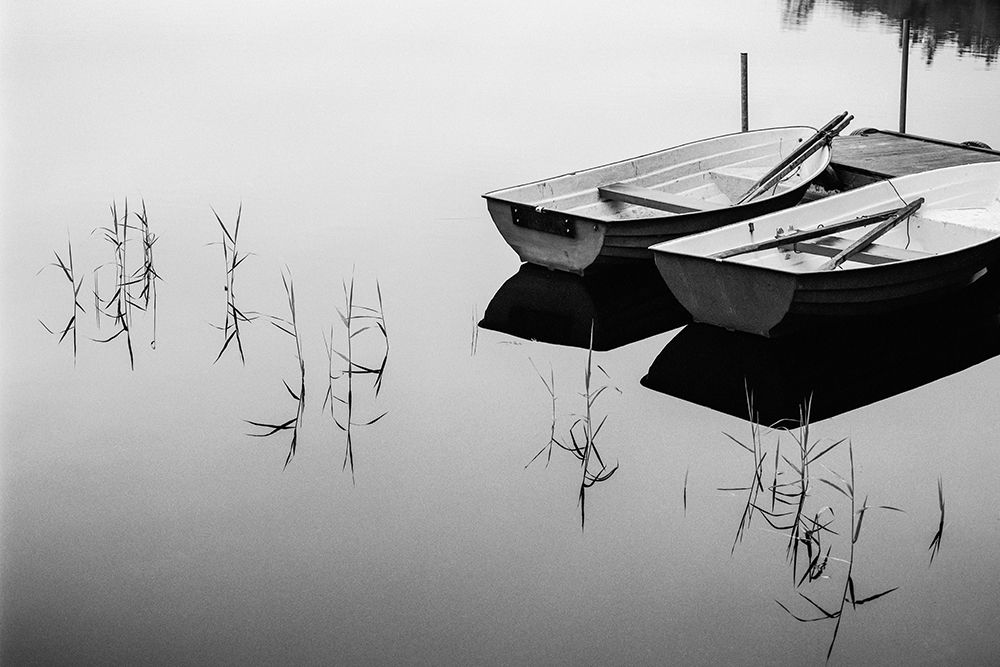 Morning by the lake art print by Mats Persson for $57.95 CAD