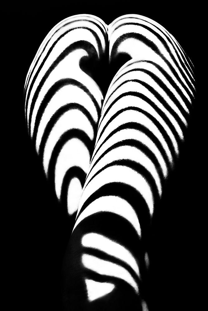 Zebra Ass 2 art print by Mikhail Faletkin for $57.95 CAD