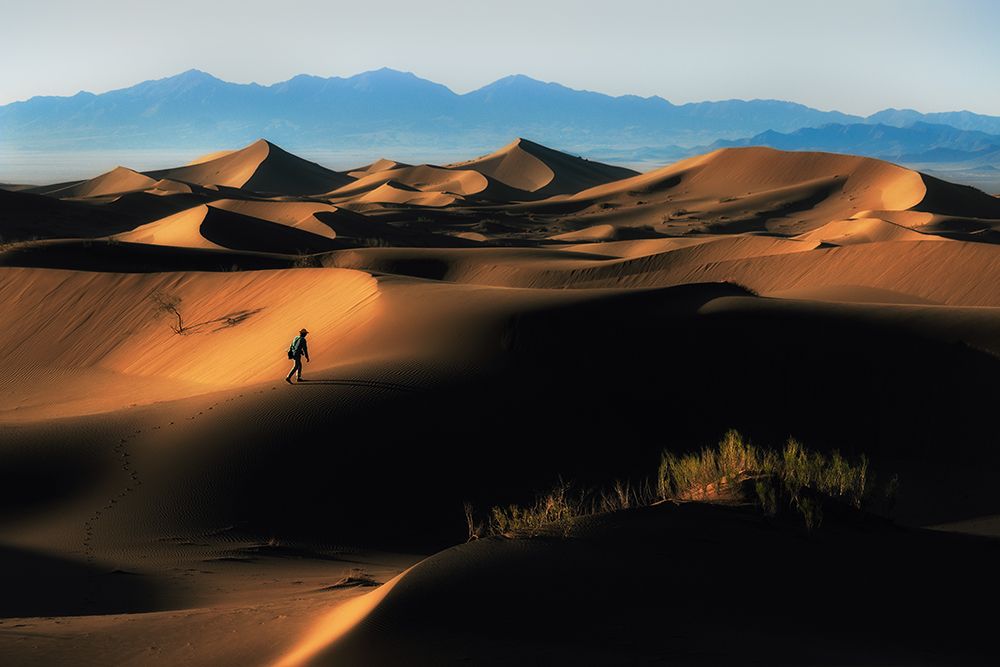 alone in nature art print by Babak Mehrafshar for $57.95 CAD