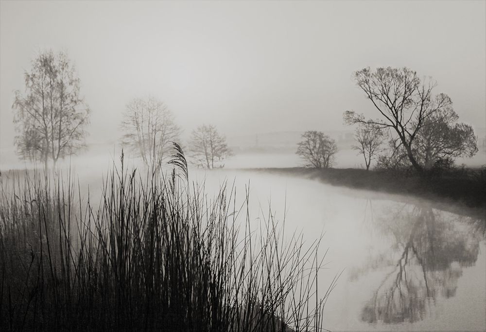 Daybreak #2 art print by Irena Jasionek for $57.95 CAD