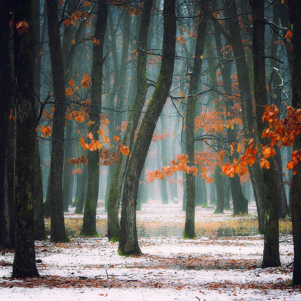 Autumn in my soul art print by Alexandra Fira for $57.95 CAD