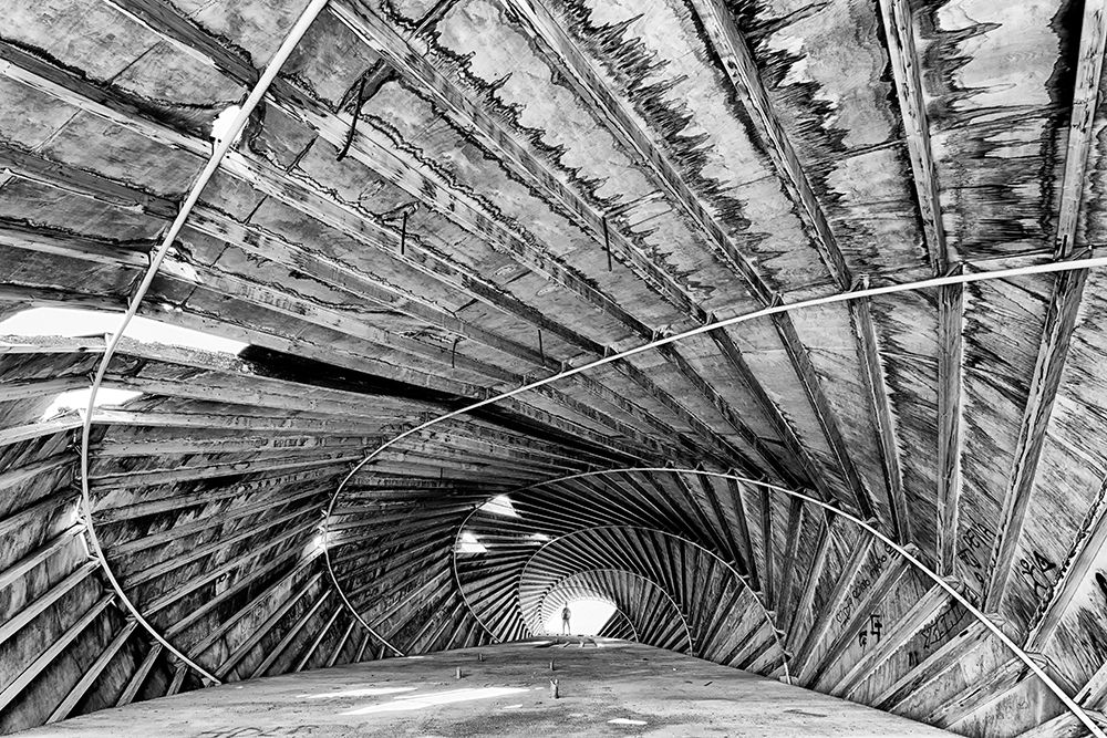 Caracola Toyo Ito art print by Tomas Bejar Manda for $57.95 CAD