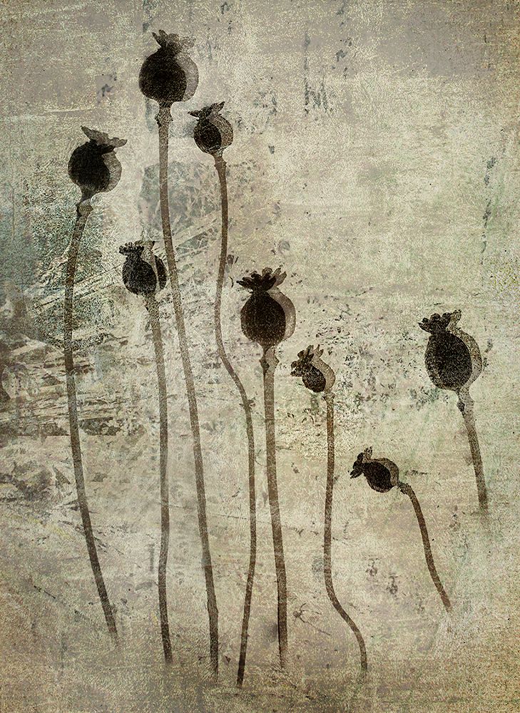 Poppy Seedlings art print by Nel Talen for $57.95 CAD