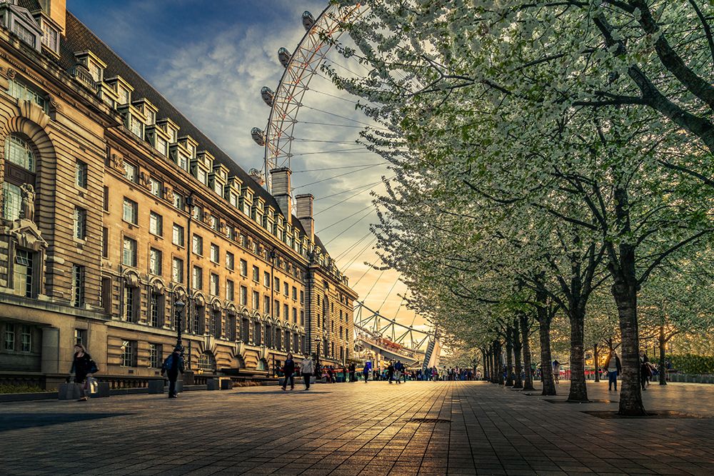 Last Daylights At The London Eye art print by Nader El Assy for $57.95 CAD