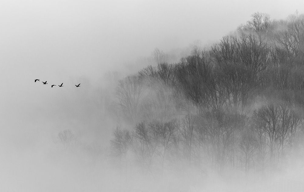 Above Mist art print by Li Congjun Austin for $57.95 CAD