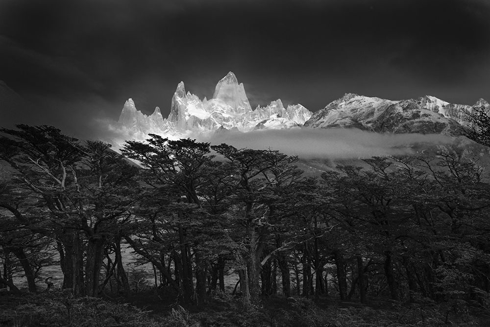 Fitz Roy art print by Lucian Constantin for $57.95 CAD