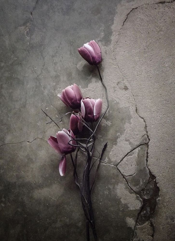 The Tulip art print by Kahar Lagaa for $57.95 CAD