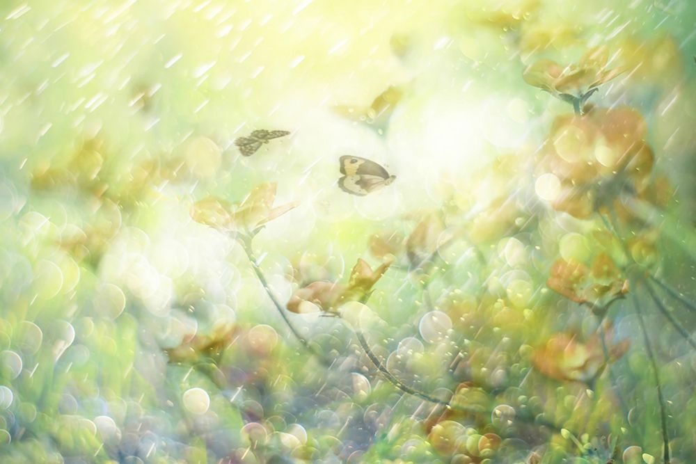My Wonderful World art print by Delphine Devos for $57.95 CAD