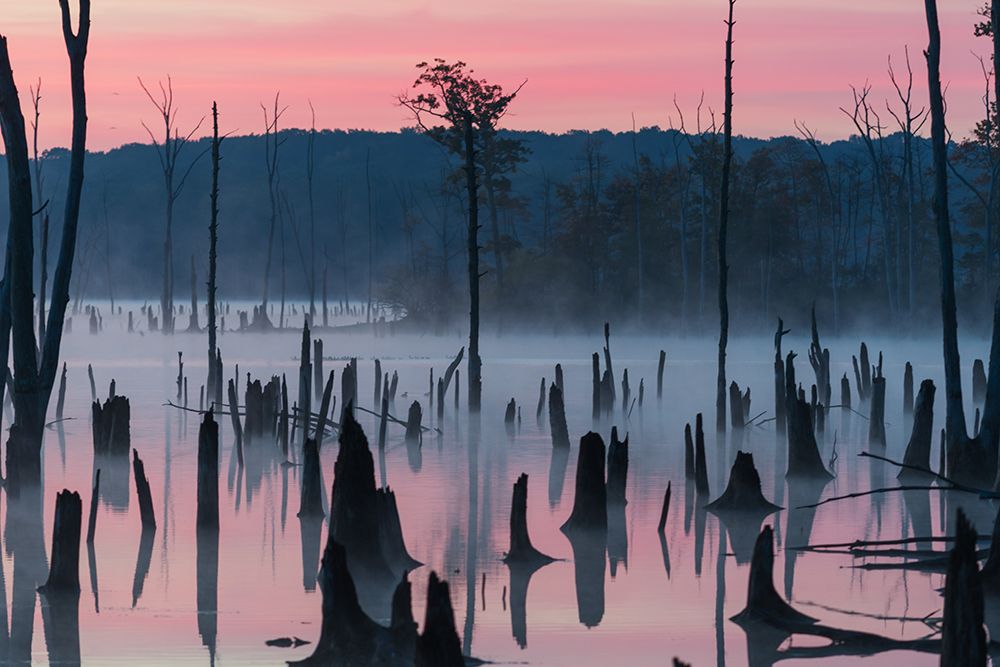 Lake @ Morning #2 art print by Austin for $57.95 CAD