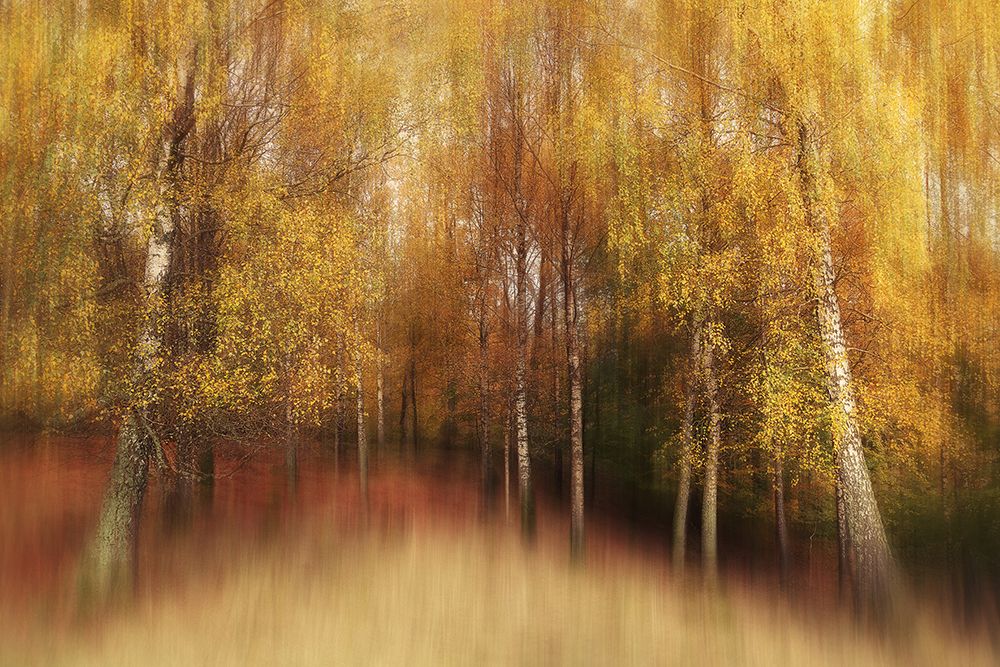 Autumn Impression art print by Gustav Davidsson for $57.95 CAD