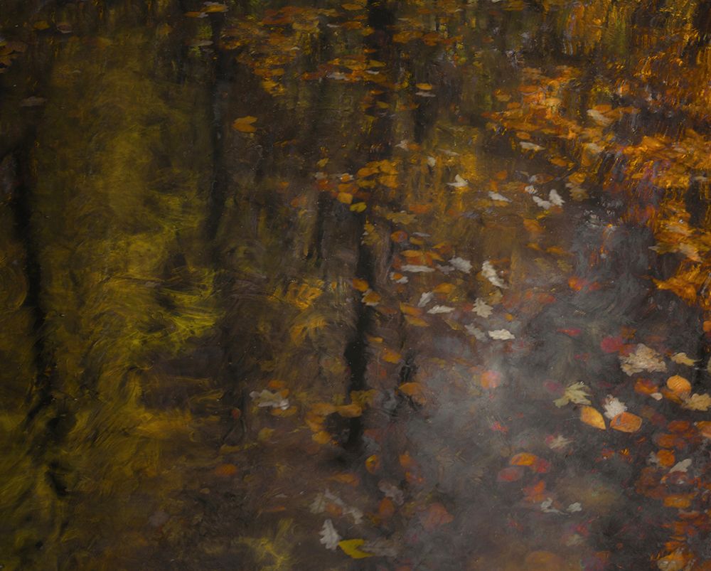 Autumn Impression art print by Nel Talen for $57.95 CAD