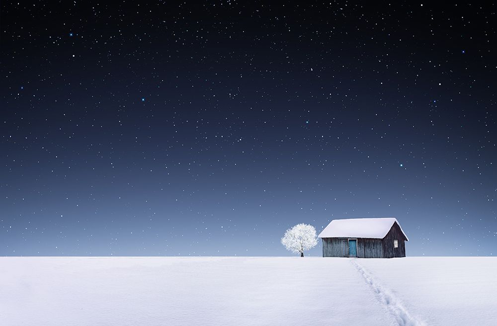Winter art print by Bess Hamiti for $57.95 CAD