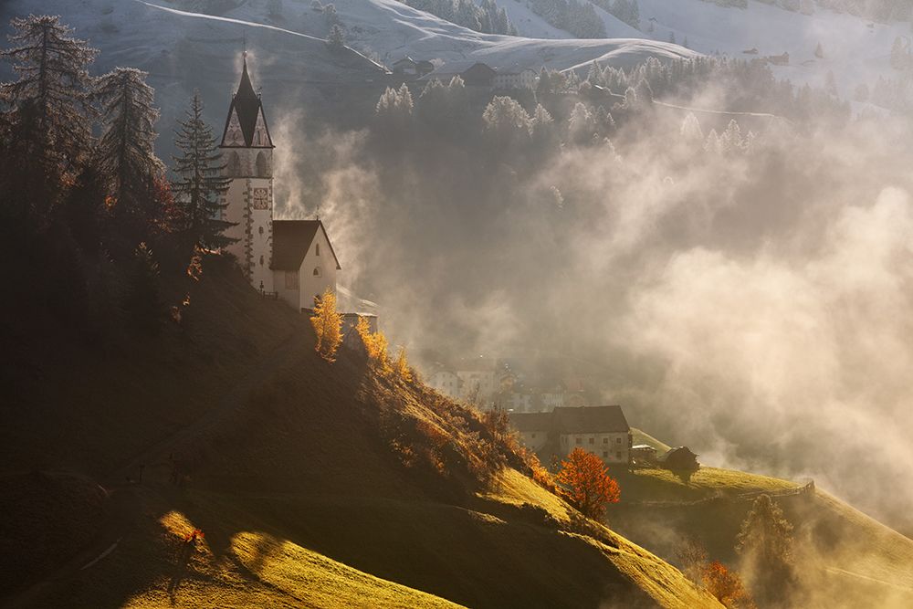 Morning in alpine valley art print by Daniel Rericha for $57.95 CAD