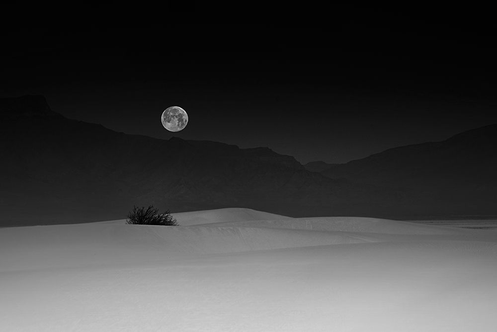 Full Moon Over White Sands art print by Lydia Jacobs for $57.95 CAD