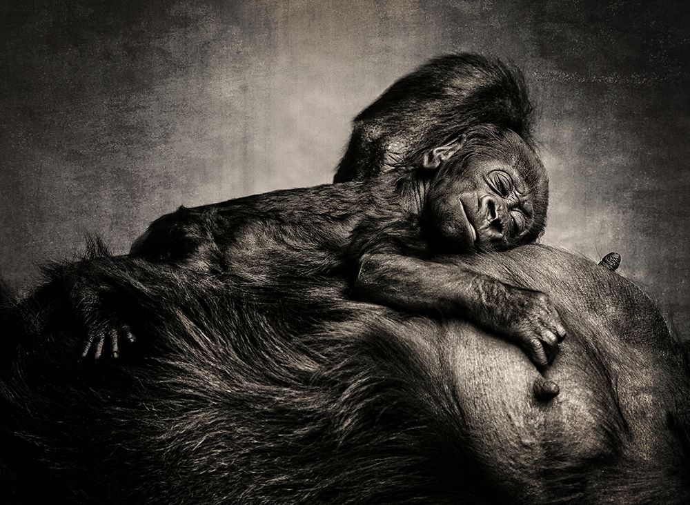 A CHILD WAS BORN art print by Antje Wenner-Braun for $57.95 CAD