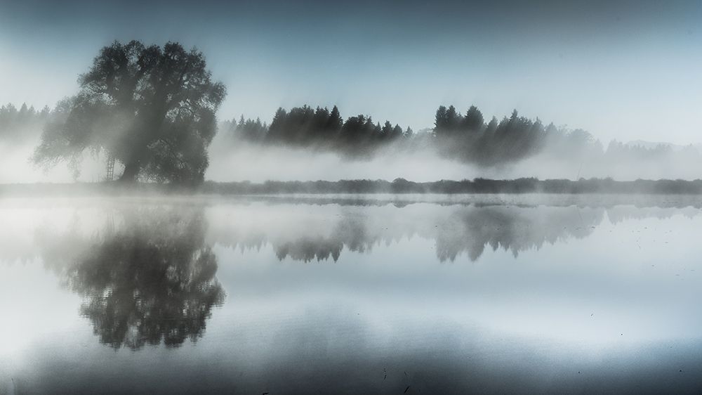 Foggy Day art print by Ulrike Eisenmann for $57.95 CAD