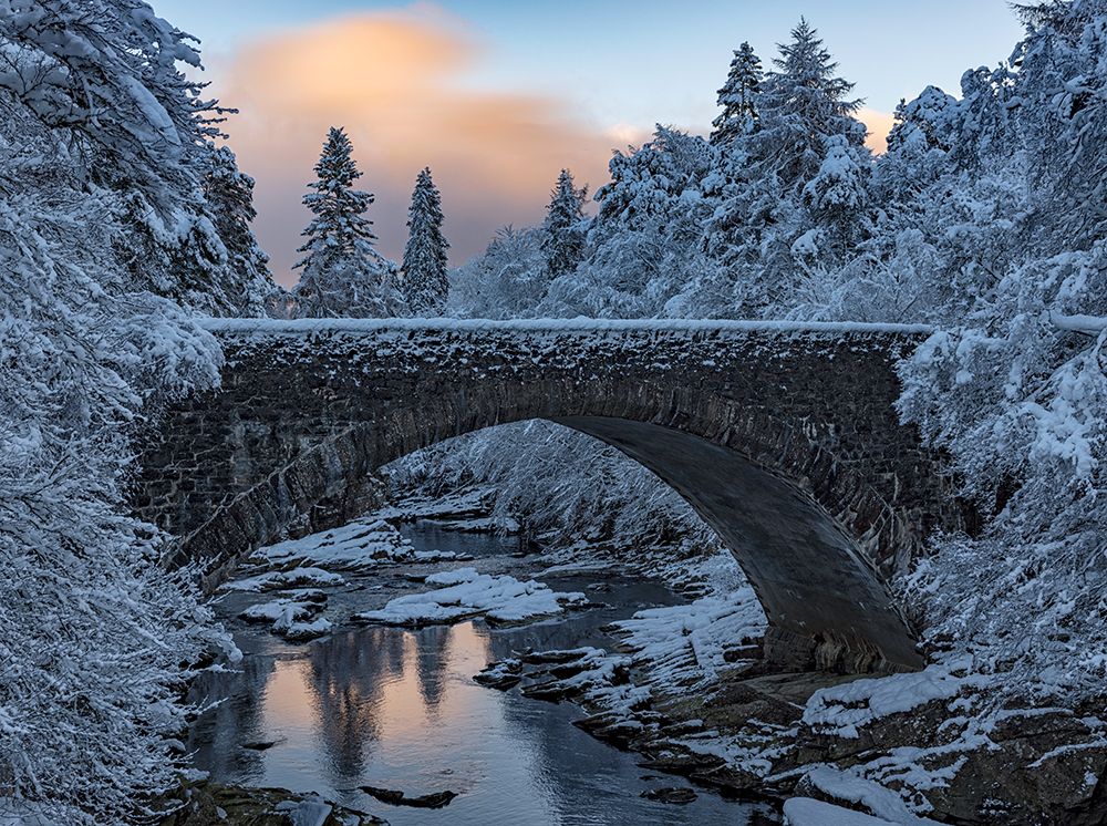 Highlands Bridge art print by Rob Darby for $57.95 CAD