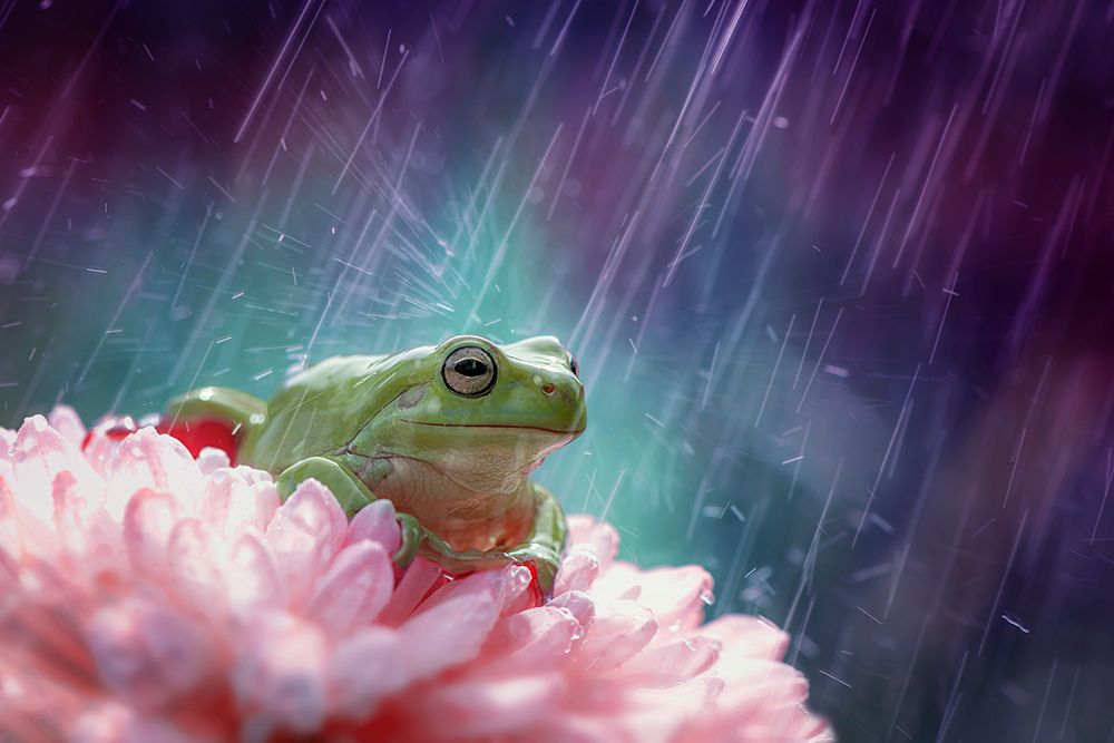 the happy rain art print by Ahmad Baihaki for $57.95 CAD