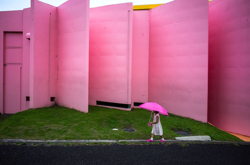 The pink color world art print by Tetsuya Hashimoto for $57.95 CAD