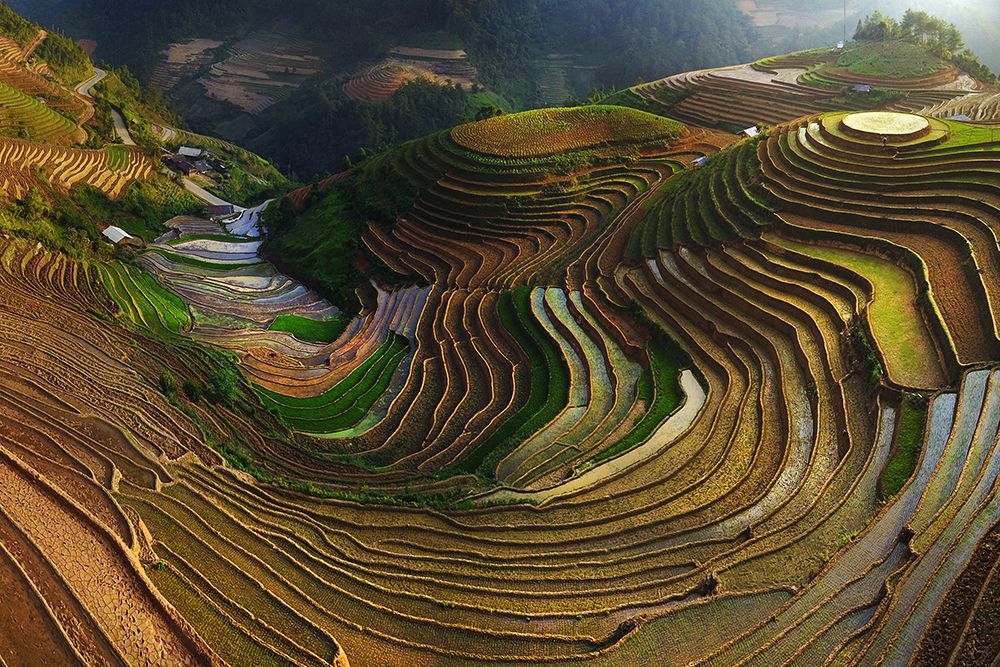 Mu Cang Chai - vietnam art print by Phat Dao Tan for $57.95 CAD
