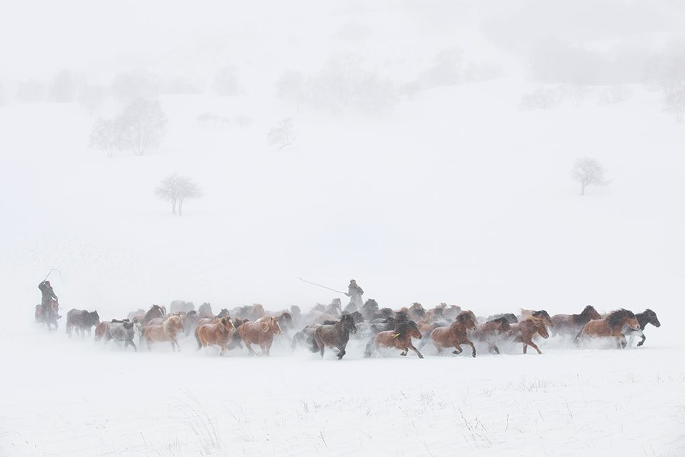 Winter Pastures art print by Tony Xu for $57.95 CAD