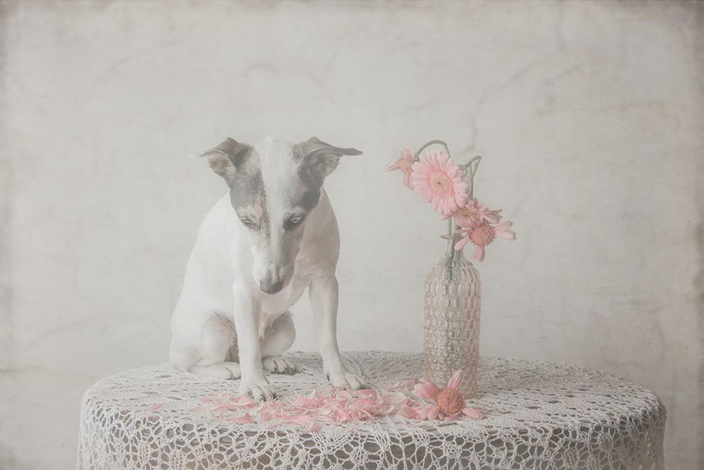 He loves me....he loves me not.... art print by Heike Willers for $57.95 CAD