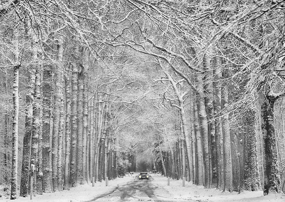 Winter mood art print by Saskia Dingemans for $57.95 CAD